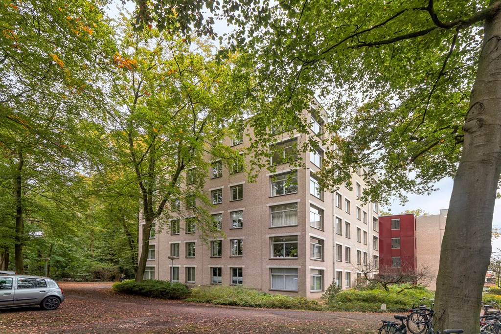 Oude Graafseweg 253 