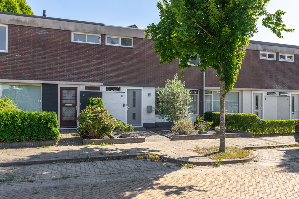 Hoeckelumstraat 3 